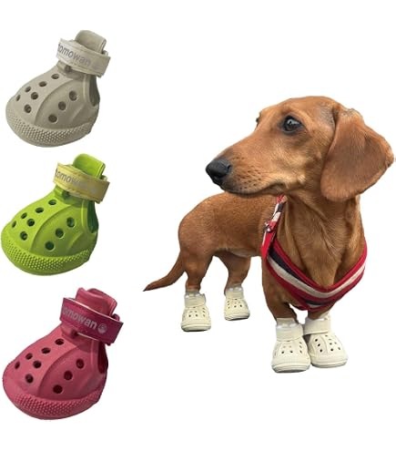 Amazon.co.jp: 犬用クロックス春夏レインブーツペット用品ゴールデン